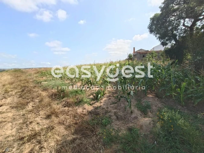 Terreno Agricola ou Rústico para Venda em Campelos e Outeiro da Cabeça Foto 12