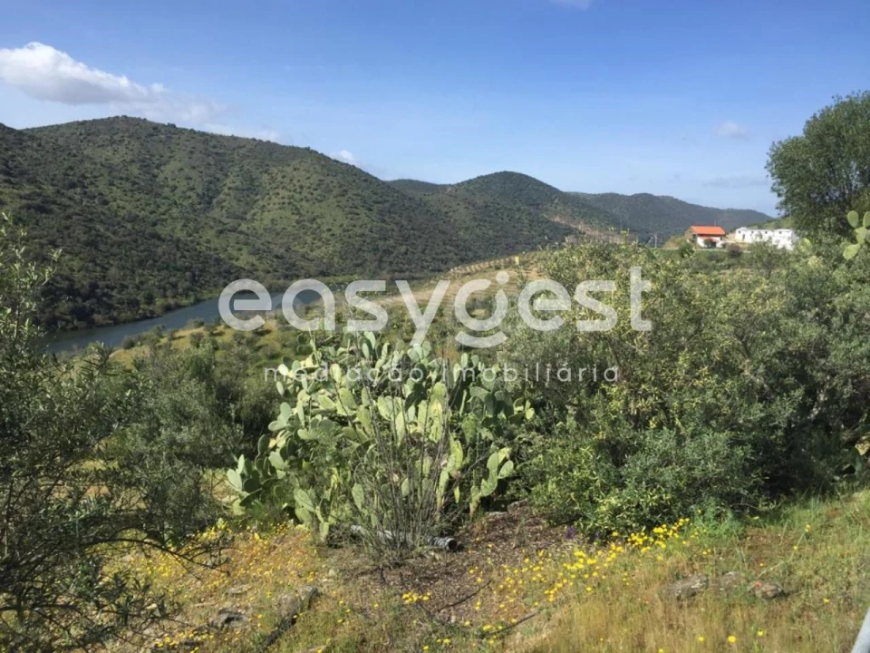Terreno Agricola ou Rústico para Venda em Poiares Foto 3