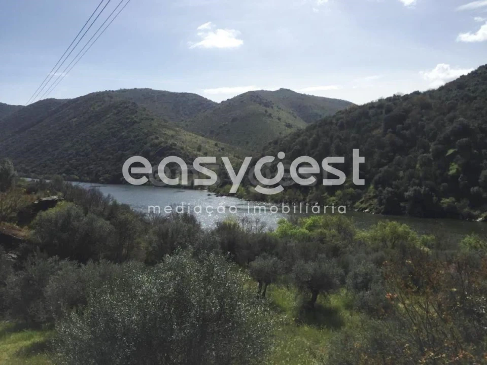 Terreno Agricola ou Rústico para Venda em Poiares Foto 6