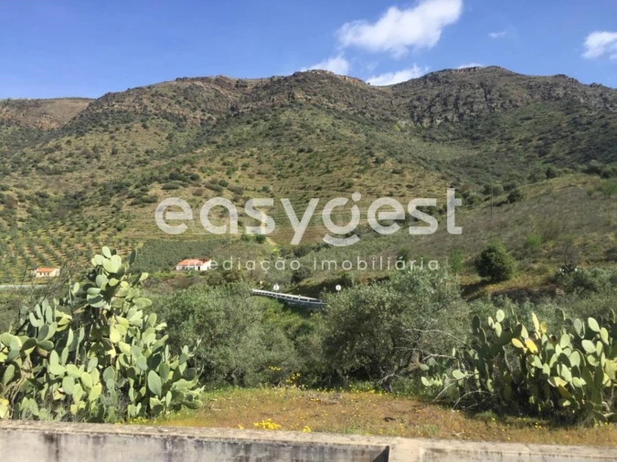 Terreno Agricola ou Rústico para Venda em Poiares Foto 5