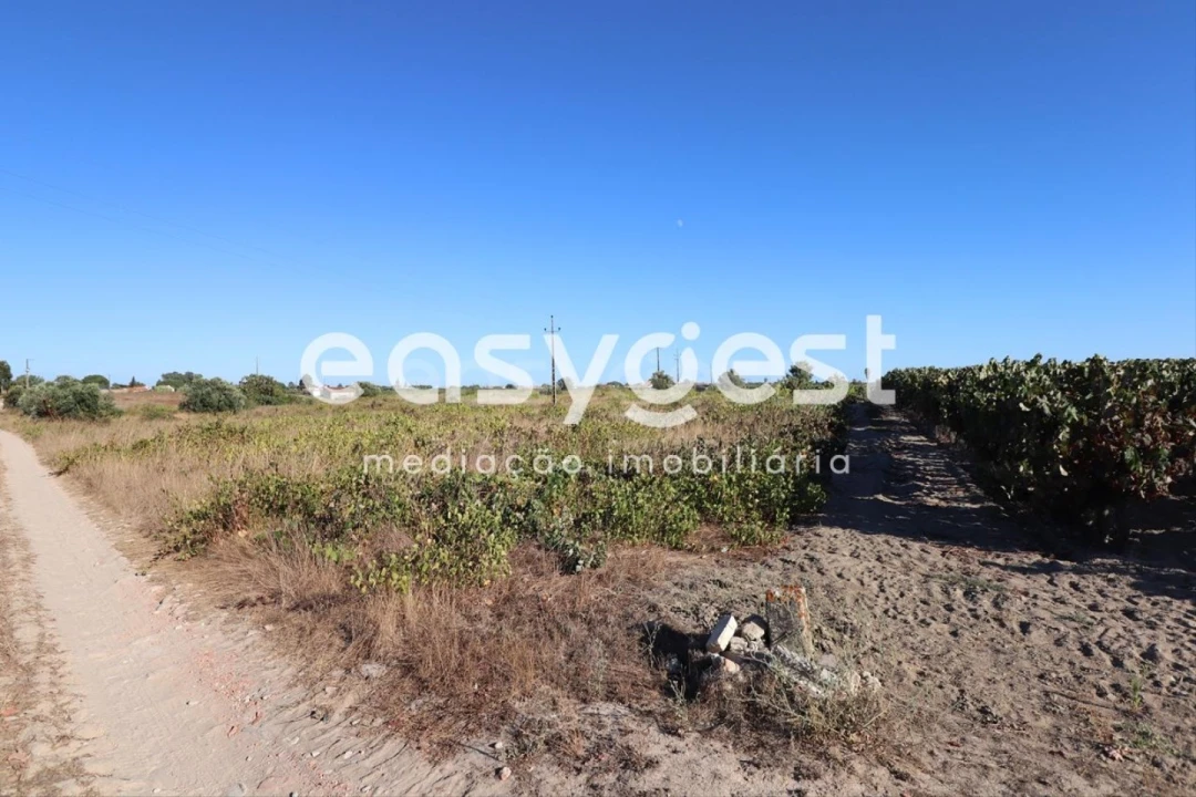 Terreno Agricola ou Rústico para Venda em Poceirão e Marateca Foto 1