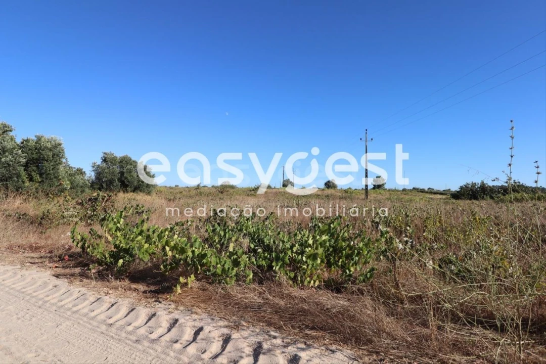 Terreno Agricola ou Rústico para Venda em Poceirão e Marateca Foto 6