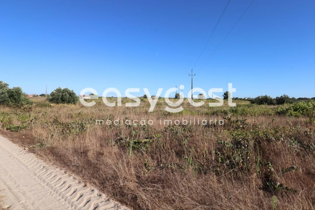 Terreno Agricola ou Rústico para Venda em Poceirão e Marateca Foto 7