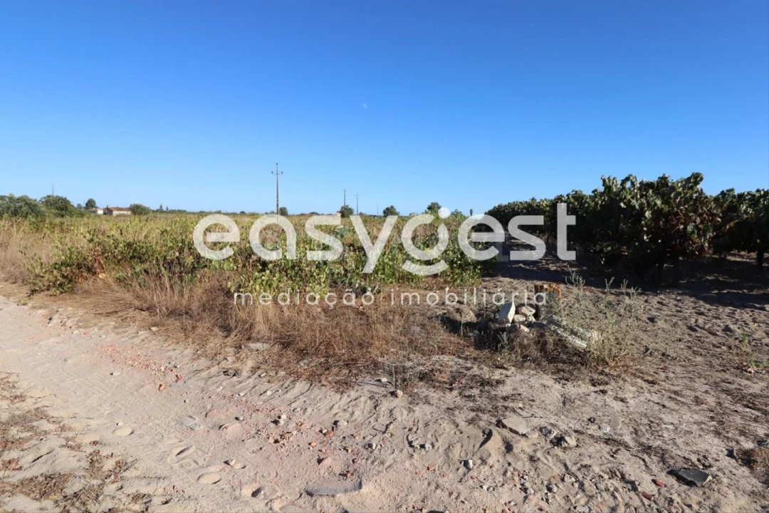 Terreno Agricola ou Rústico para Venda em Poceirão e Marateca Foto 8