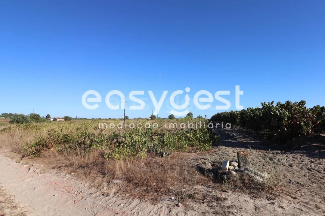 Terreno Agricola ou Rústico para Venda em Poceirão e Marateca Foto 9