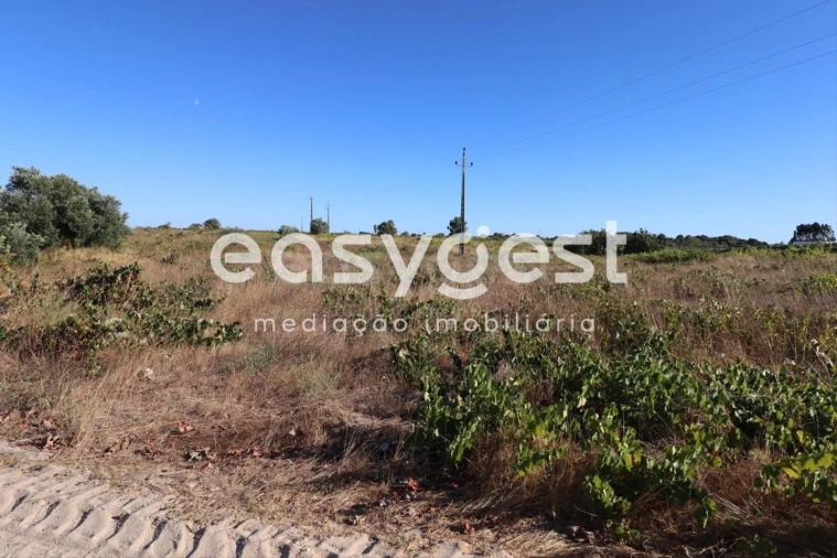 Terreno Agricola ou Rústico para Venda em Poceirão e Marateca Foto 2