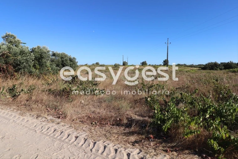 Terreno Agricola ou Rústico para Venda em Poceirão e Marateca Foto 3