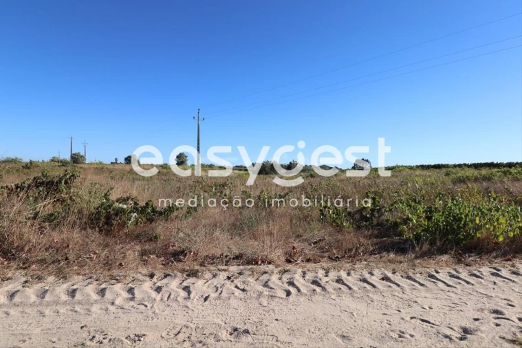Terreno Agricola ou Rústico para Venda em Poceirão e Marateca Foto 4