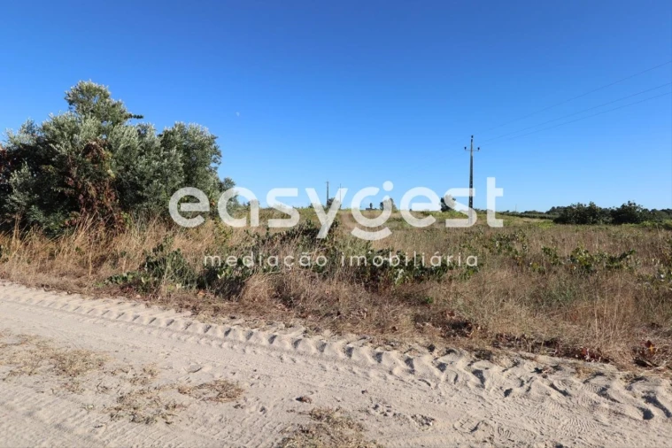 Terreno Agricola ou Rústico para Venda em Poceirão e Marateca Foto 5