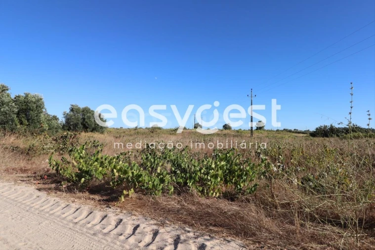 Terreno Agricola ou Rústico para Venda em Poceirão e Marateca Foto 6