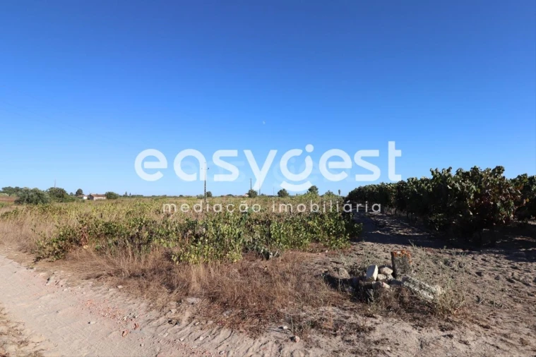 Terreno Agricola ou Rústico para Venda em Poceirão e Marateca Foto 9
