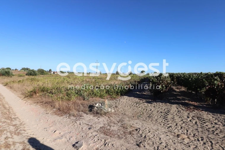 Terreno Agricola ou Rústico para Venda em Poceirão e Marateca Foto 10