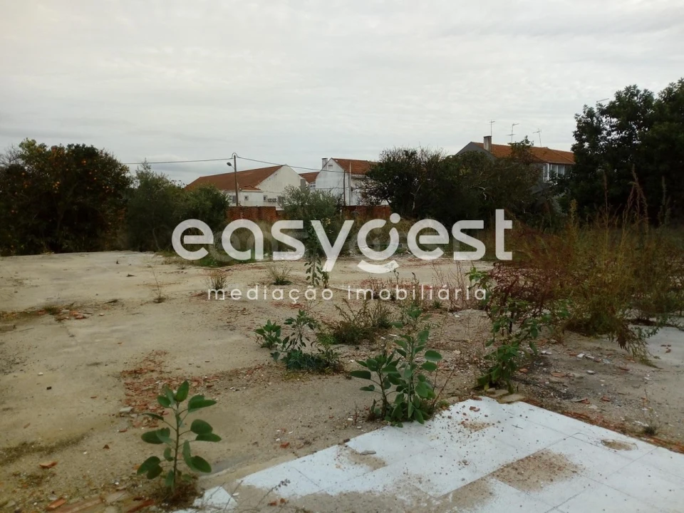 Terreno para Venda em Montijo e Afonsoeiro Foto 4
