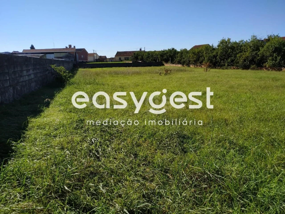 Terreno Agricola ou Rústico para Venda em Ouca Foto 1