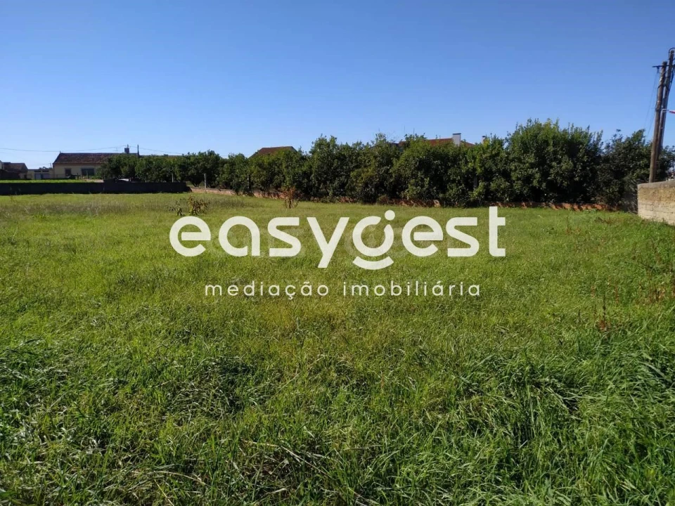 Terreno Agricola ou Rústico para Venda em Ouca Foto 2