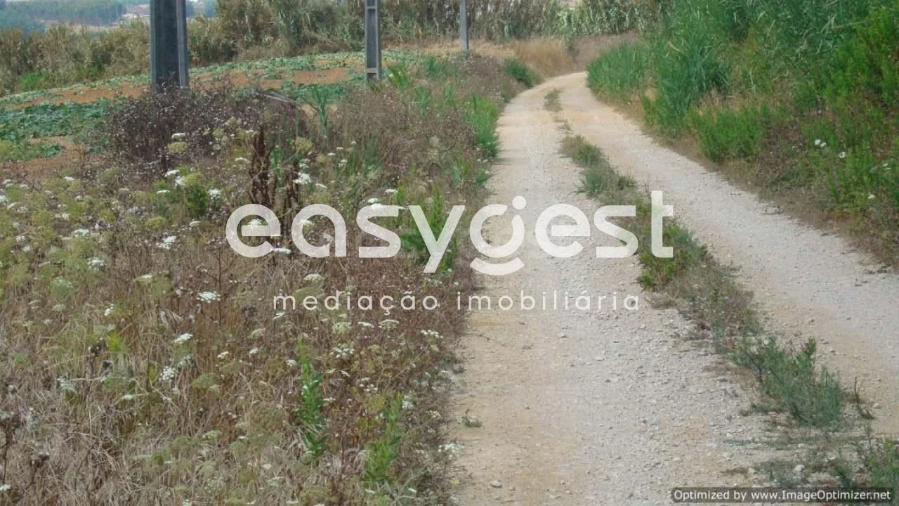 Terreno Agricola ou Rústico para Venda em Santa Barbara Foto 3