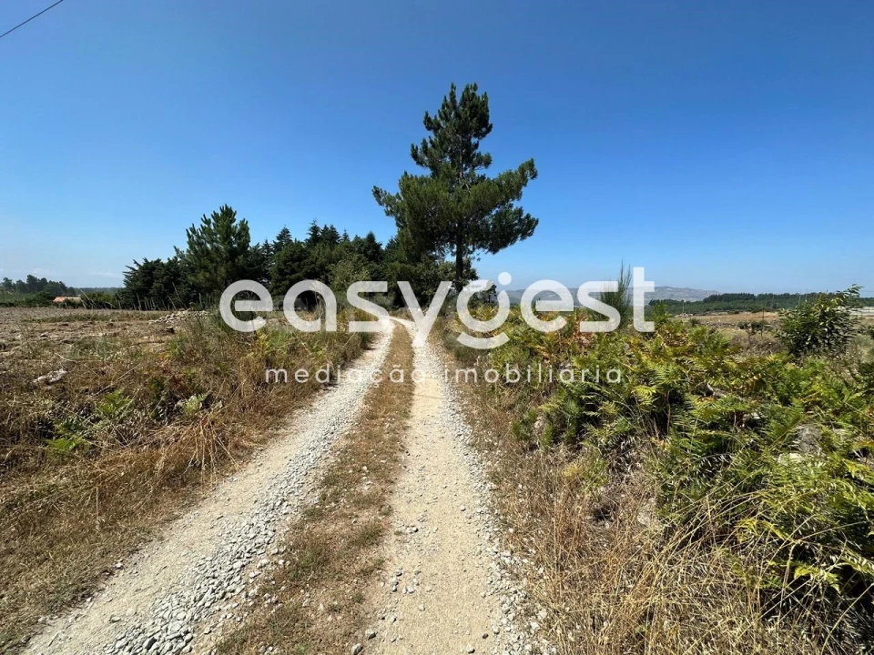 Terreno para Venda em Trancoso (São Pedro e Santa Maria) e Souto Maior Foto 6