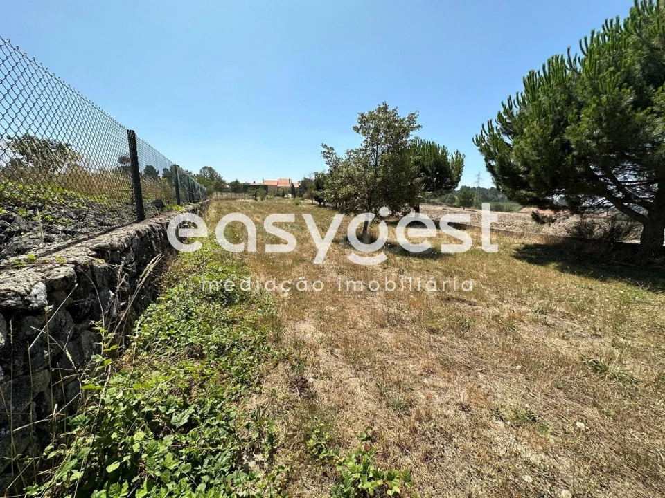 Terreno para Venda em Trancoso (São Pedro e Santa Maria) e Souto Maior Foto 12
