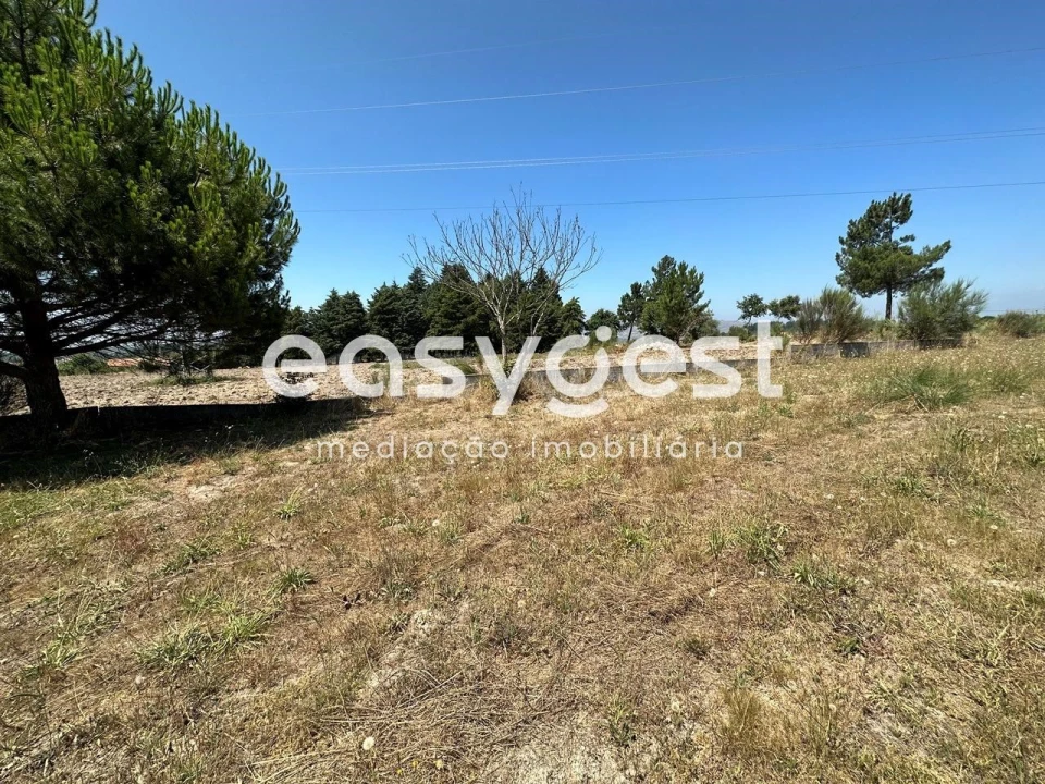 Terreno para Venda em Trancoso (São Pedro e Santa Maria) e Souto Maior Foto 13