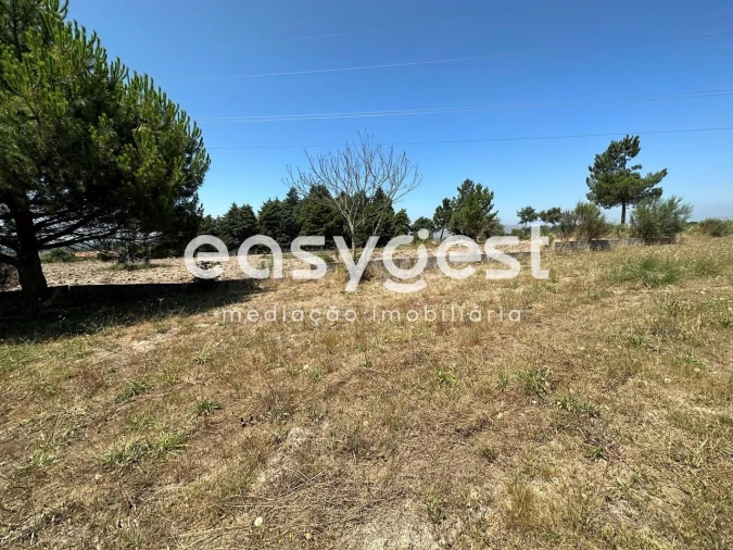 Terreno para Venda em Trancoso (São Pedro e Santa Maria) e Souto Maior Foto 13