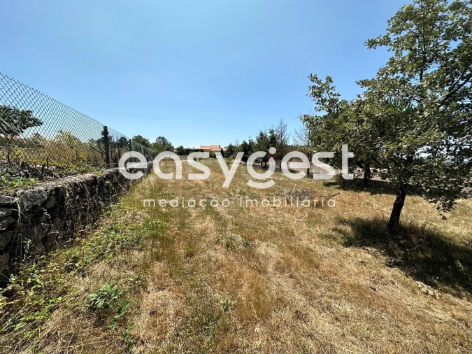 Terreno para Venda em Trancoso (São Pedro e Santa Maria) e Souto Maior Foto 14