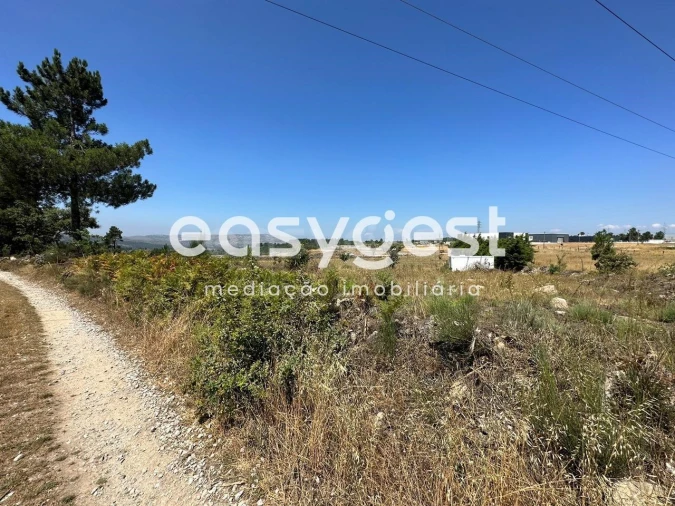 Terreno para Venda em Trancoso (São Pedro e Santa Maria) e Souto Maior Foto 15
