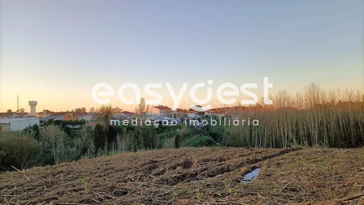 Moradia T8 para Venda em Sangalhos Foto 10