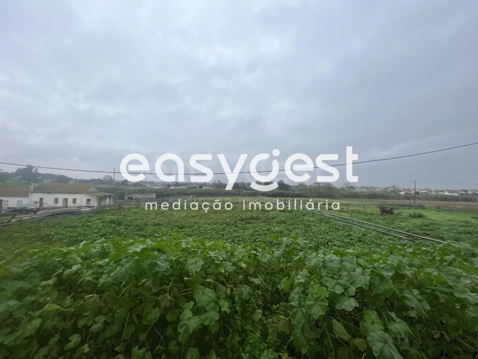 Quinta T6 para Venda em Pinhal Novo Foto 4