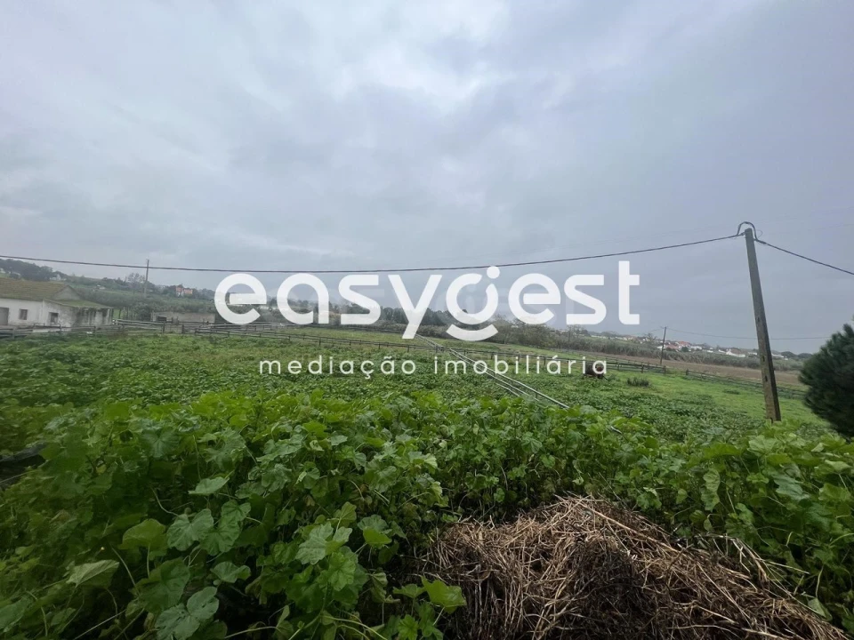 Quinta T6 para Venda em Pinhal Novo Foto 9