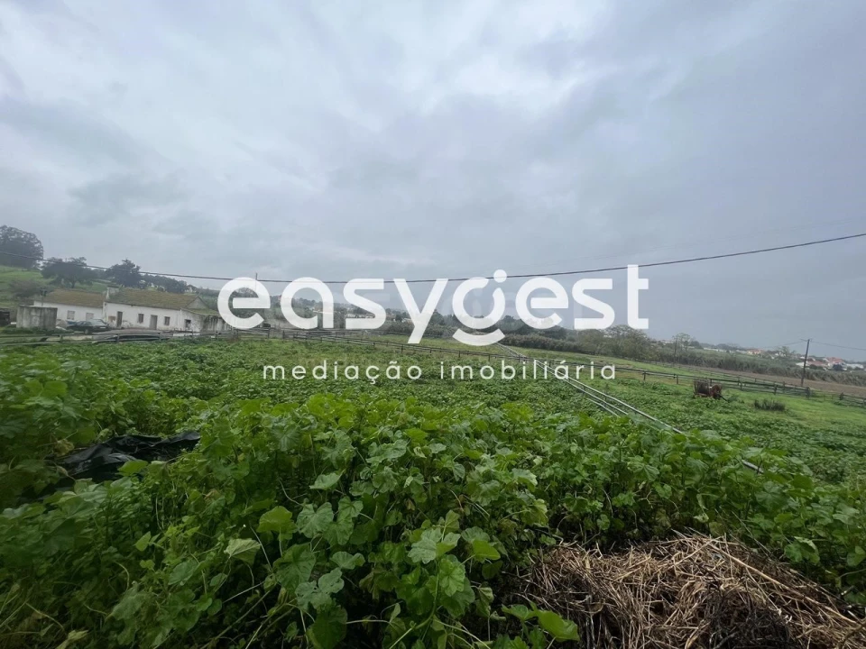 Quinta T6 para Venda em Pinhal Novo Foto 10