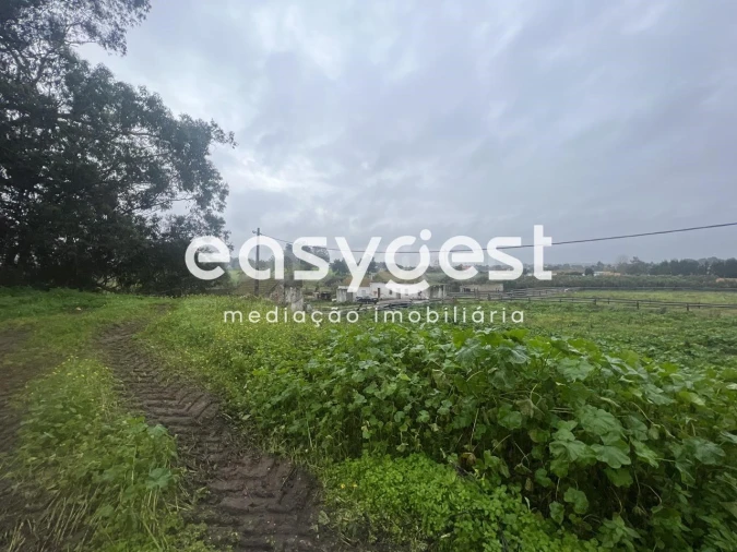 Quinta T6 para Venda em Pinhal Novo Foto 1