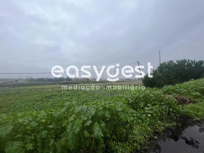 Quinta T6 para Venda em Pinhal Novo Foto 5