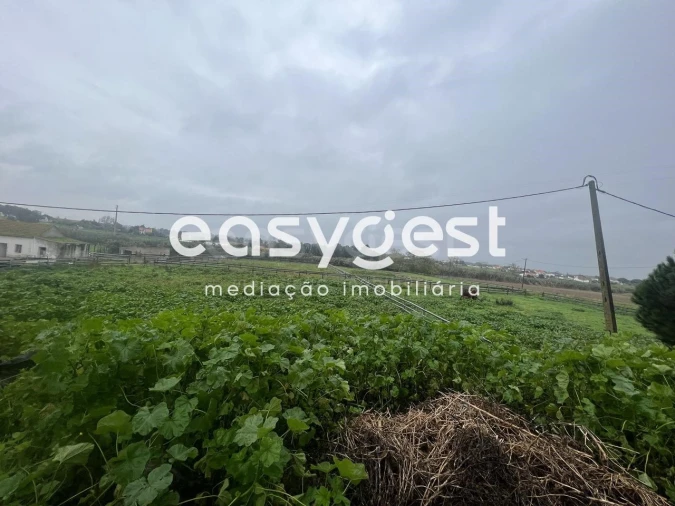 Quinta T6 para Venda em Pinhal Novo Foto 9