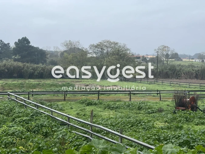 Quinta T6 para Venda em Pinhal Novo Foto 14