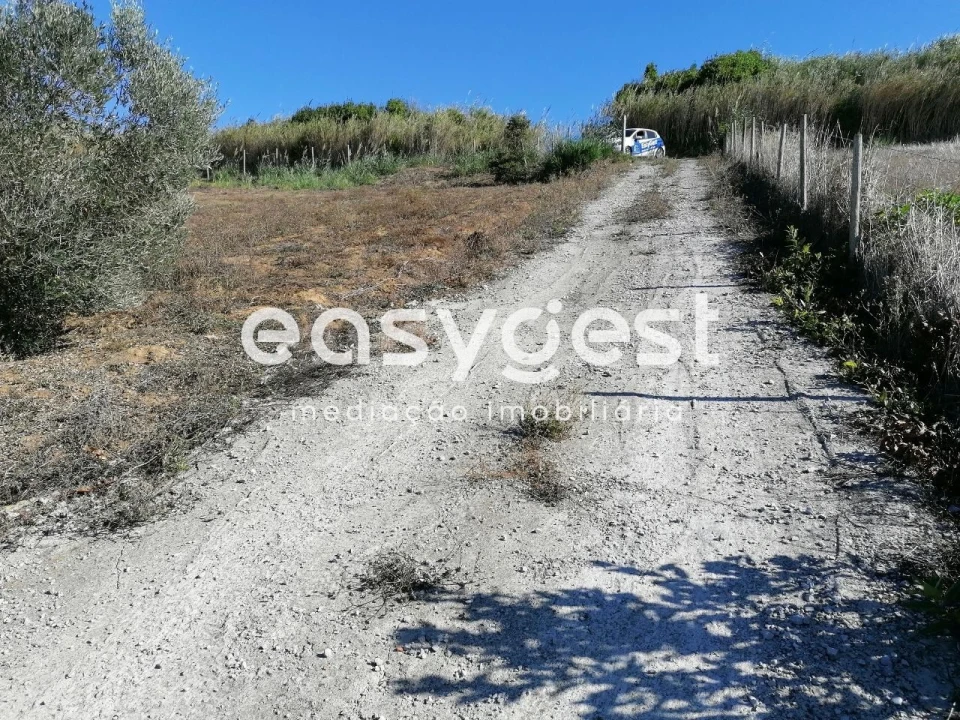 Negócio para Venda em Lourinhã e Atalaia Foto 7