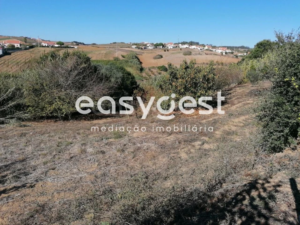 Negócio para Venda em Lourinhã e Atalaia Foto 8