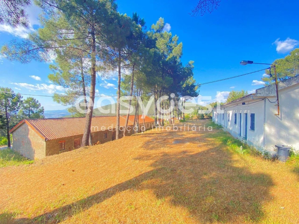 Quinta T9 para Venda em Felgar e Souto da Velha Foto 1