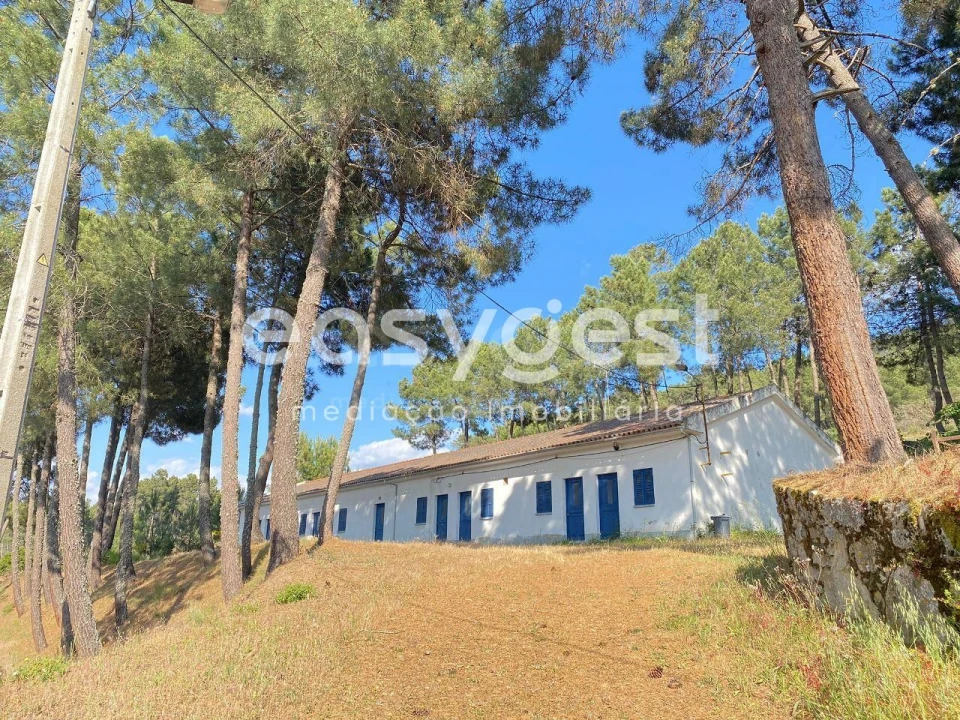 Quinta T9 para Venda em Felgar e Souto da Velha Foto 2