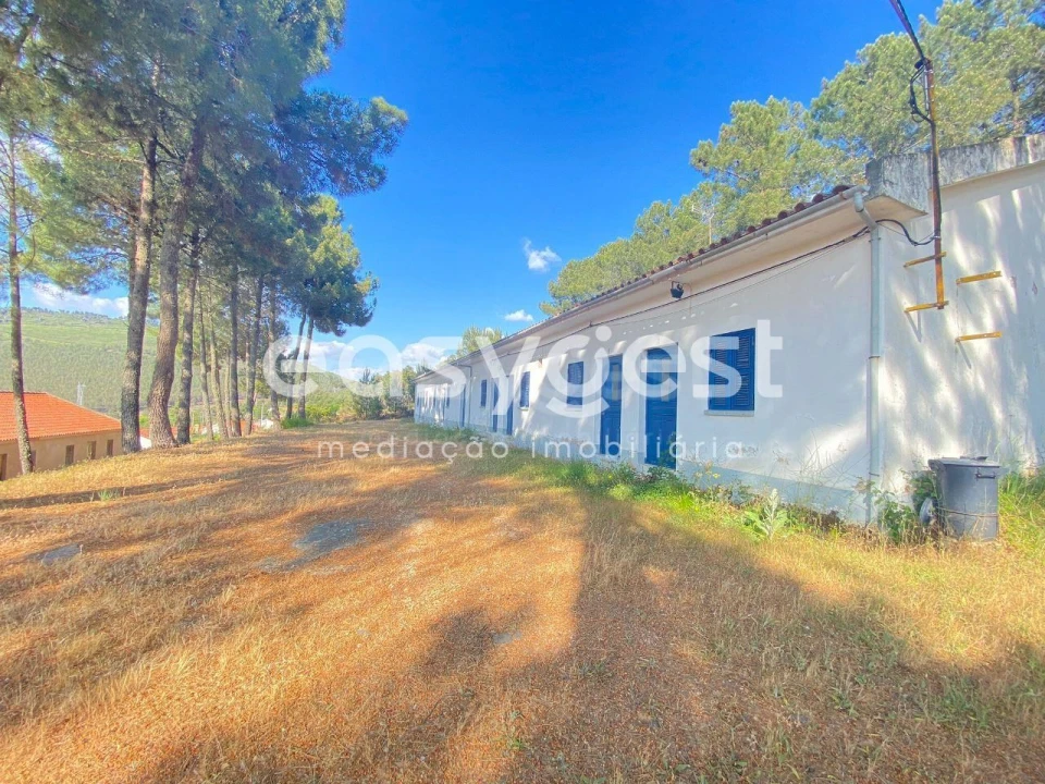 Quinta T9 para Venda em Felgar e Souto da Velha Foto 3
