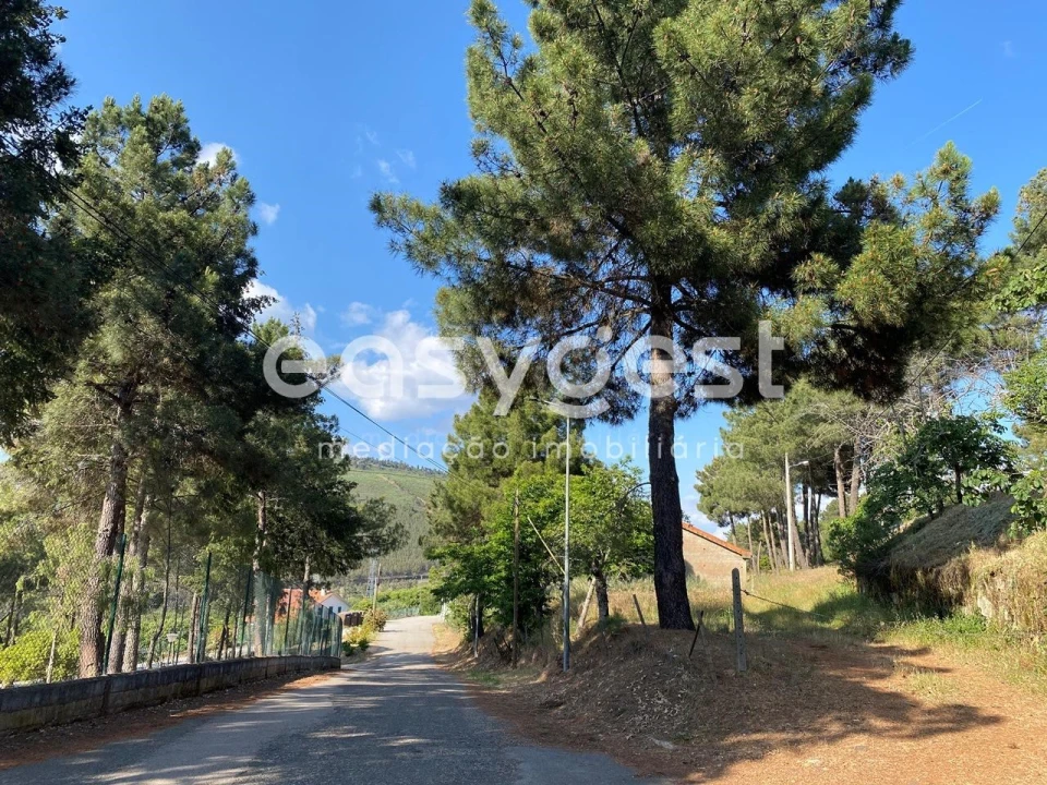 Quinta T9 para Venda em Felgar e Souto da Velha Foto 5