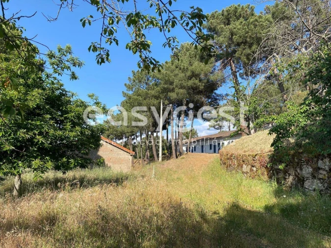 Quinta T9 para Venda em Felgar e Souto da Velha Foto 4