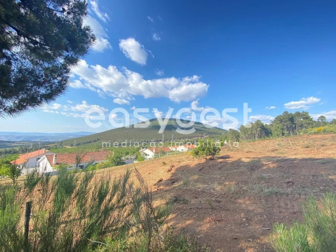 Quinta T9 para Venda em Felgar e Souto da Velha Foto 10