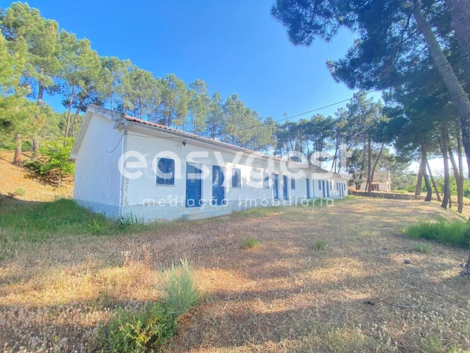 Quinta T9 para Venda em Felgar e Souto da Velha Foto 18