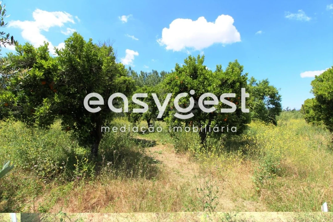 Terreno para Venda em Tamengos, Aguim e Óis do Bairro Foto 4