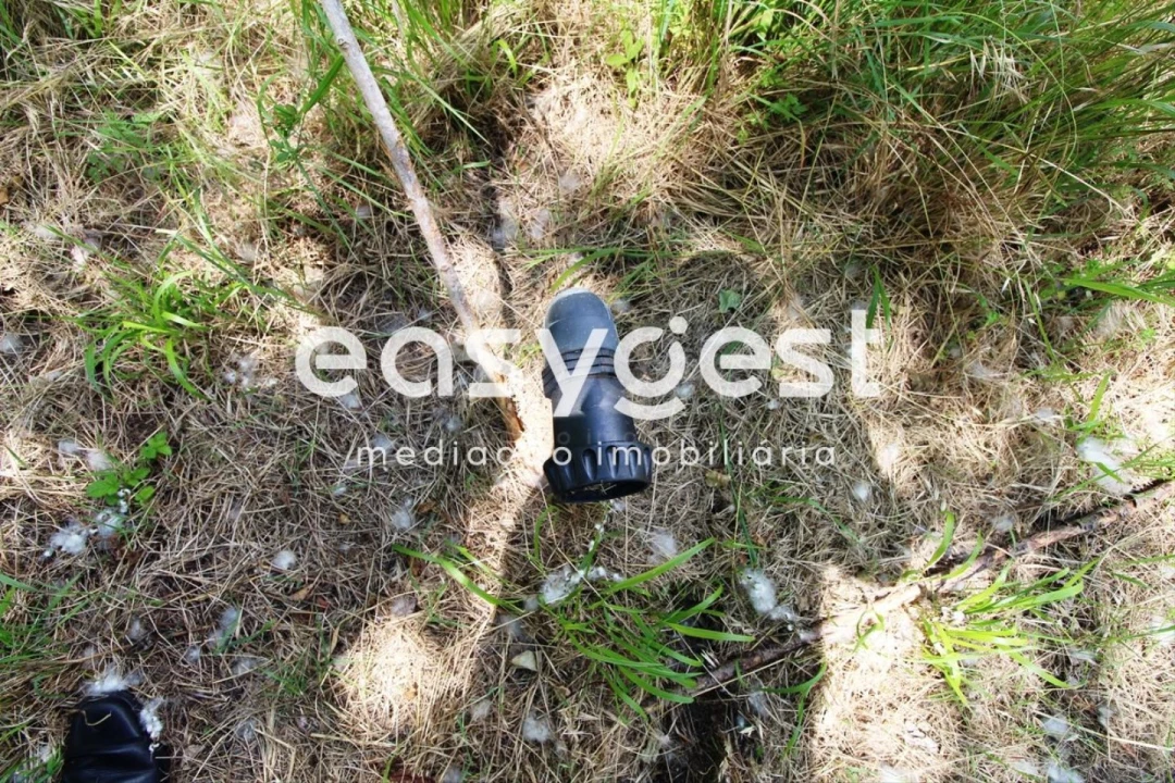 Terreno para Venda em Tamengos, Aguim e Óis do Bairro Foto 6
