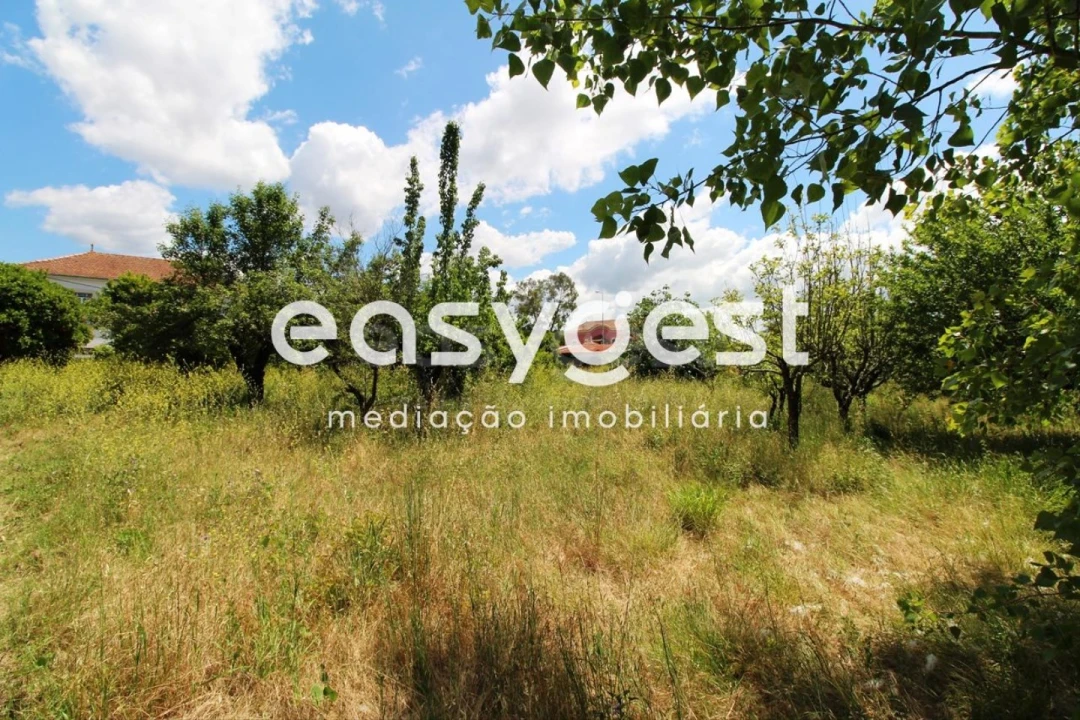 Terreno para Venda em Tamengos, Aguim e Óis do Bairro Foto 9