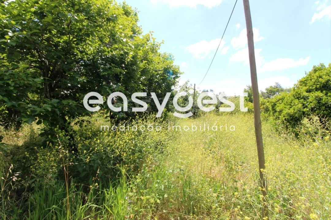 Terreno para Venda em Tamengos, Aguim e Óis do Bairro Foto 10