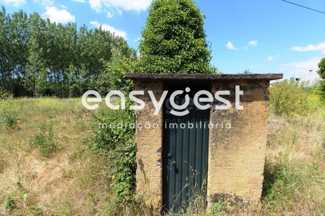 Terreno para Venda em Tamengos, Aguim e Óis do Bairro Foto 13