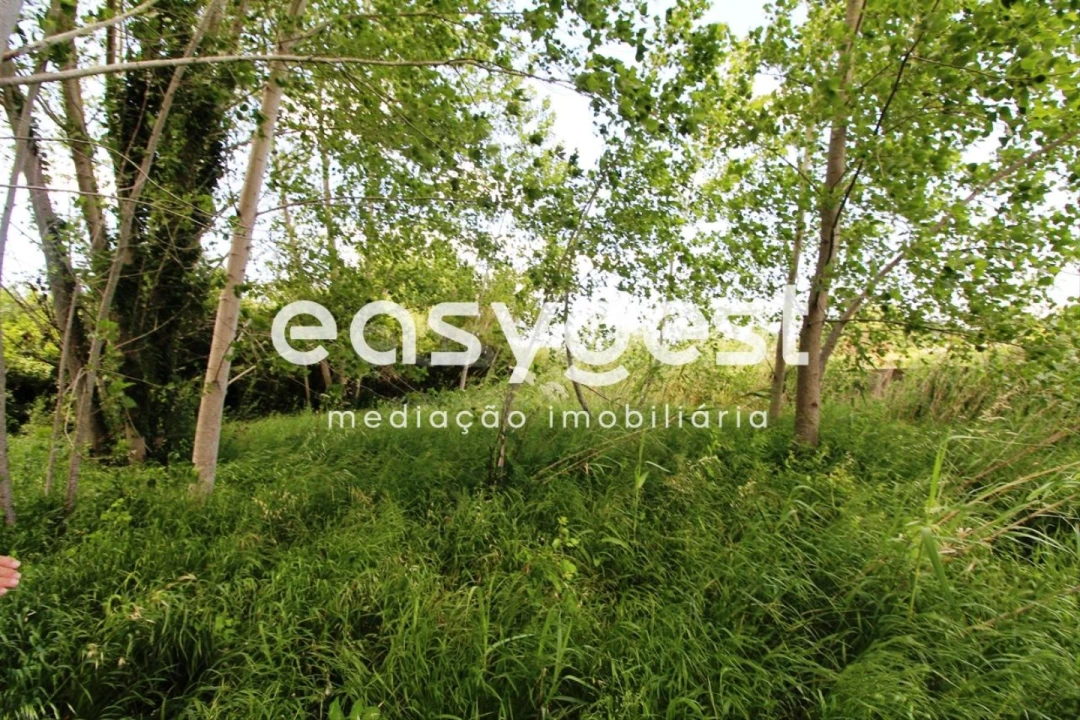 Terreno para Venda em Tamengos, Aguim e Óis do Bairro Foto 14