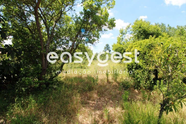 Terreno para Venda em Tamengos, Aguim e Óis do Bairro Foto 3